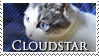 Cloudstar stamp